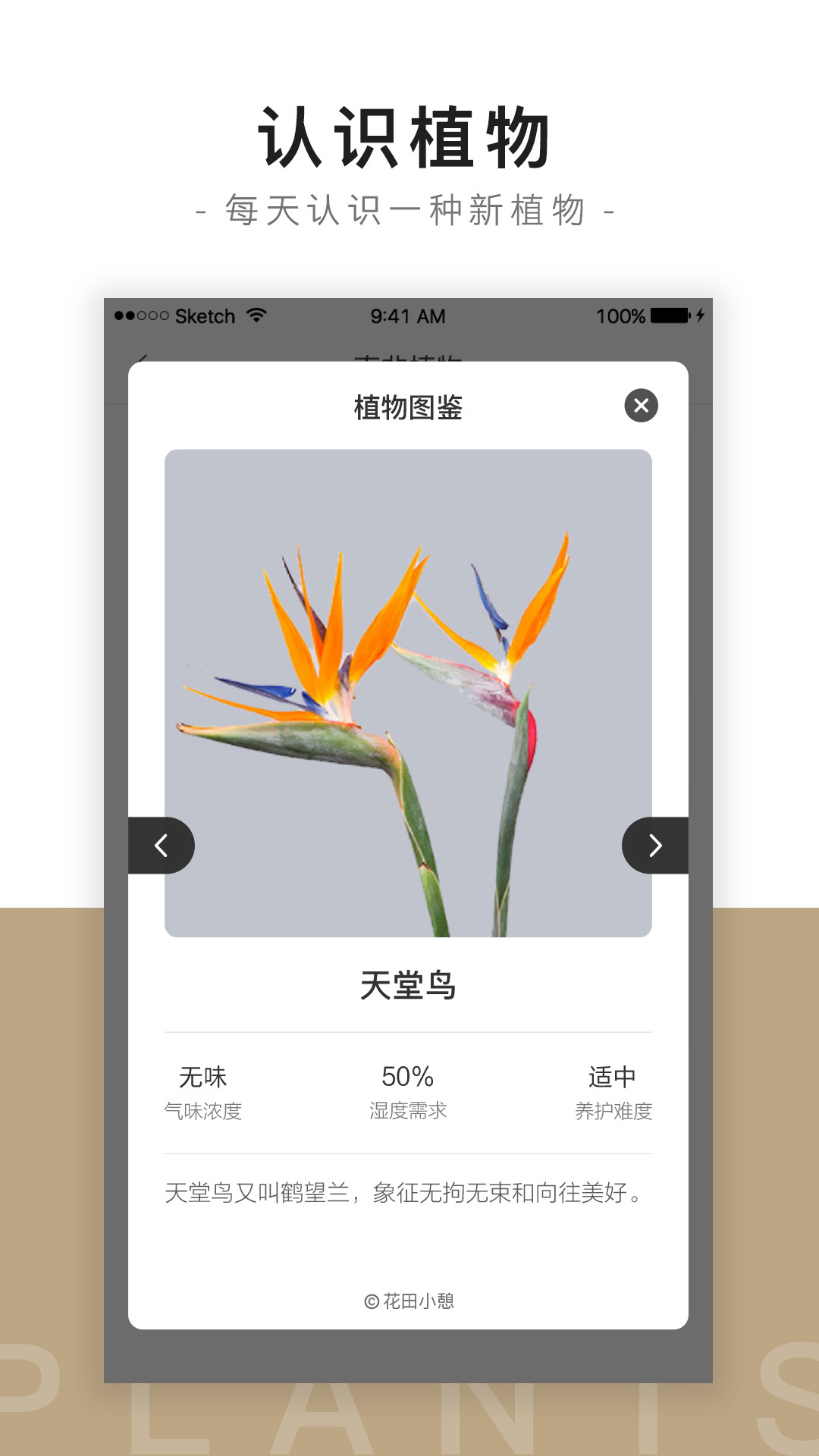 花田小憩app截图