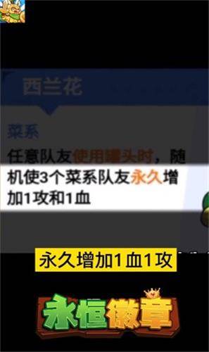 永恒徽章自走棋无广告截图